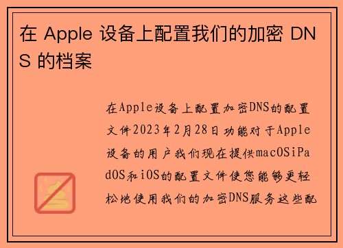 在 Apple 设备上配置我们的加密 DNS 的档案 